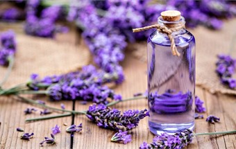 Hướng dẫn cách khử mùi hôi trong tủ lạnh đơn giản mà hiệu quả